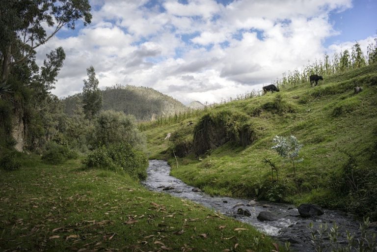 stream, creek, pasture